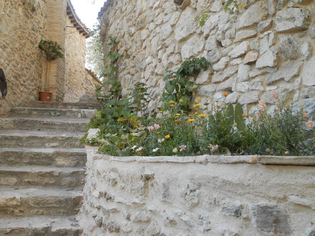 Residenza Di Paese Castello Del Poggio Hotel Ferentillo Ngoại thất bức ảnh