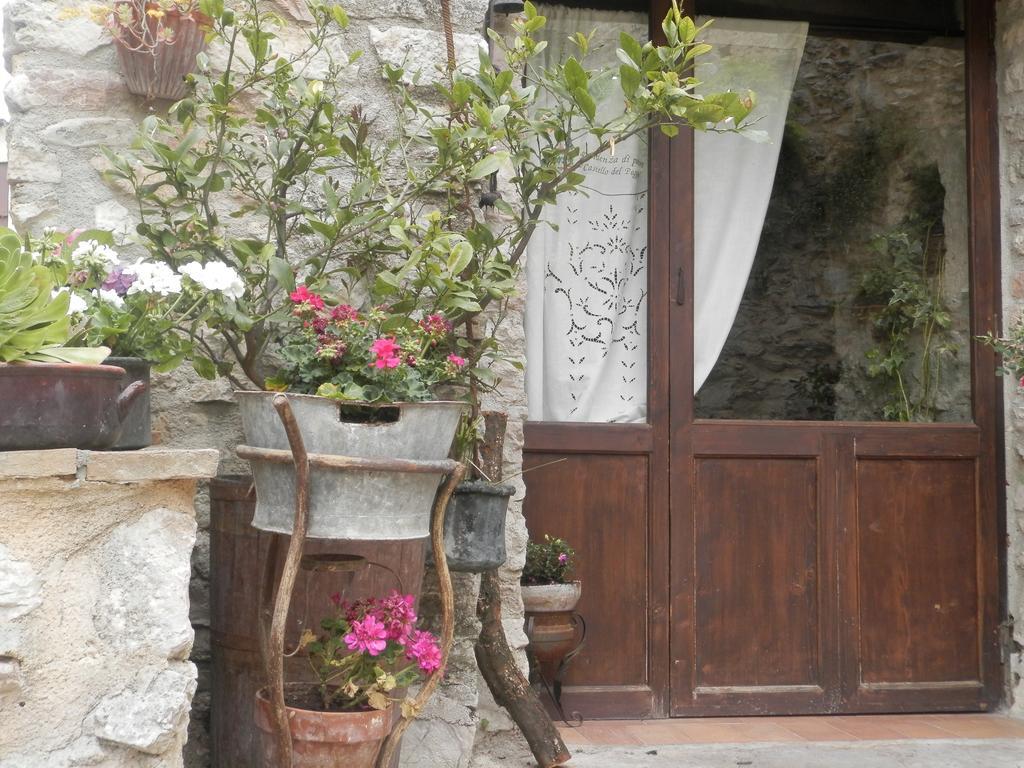 Residenza Di Paese Castello Del Poggio Hotel Ferentillo Ngoại thất bức ảnh