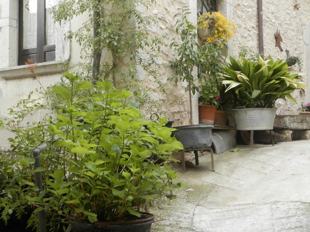 Residenza Di Paese Castello Del Poggio Hotel Ferentillo Ngoại thất bức ảnh